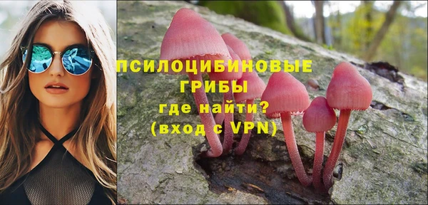 apvp Киренск