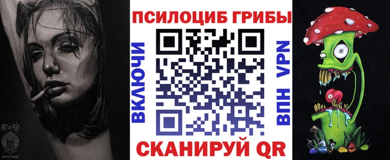 Галлюциногенные грибы Cubensis  Купить закладки  Великий Устюг 