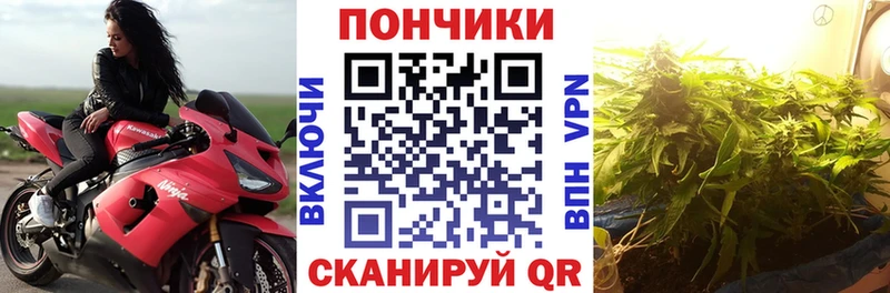Купить где Великий Устюг Канабис SATIVA & INDICA